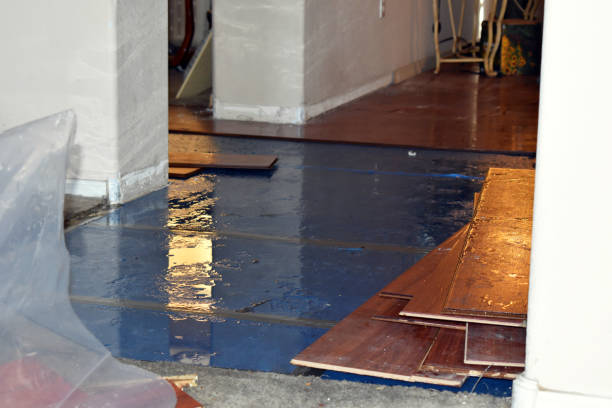 Professional Basement Flood Cleanup technician working in Sebewaing, MI